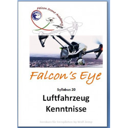 Falcon 20 Luftfahrzeug Kenntnisse