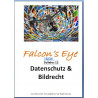 Falcon 11 Recht Schweiz Bildrecht