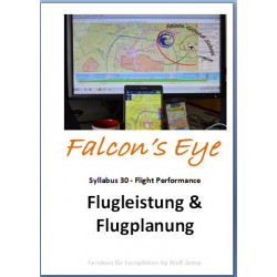 Falcon 30 Flugleistung und Flugplanung