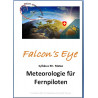 Falcon 50 Meeterologie für Fernpiloten