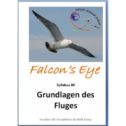 Falcon 80 Princile of Flights